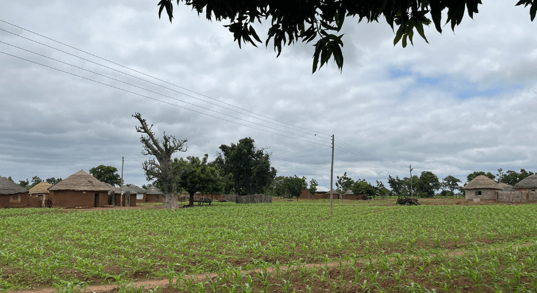 A green field with houses in the background